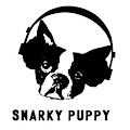 Snarky Puppy YouTube Channel
